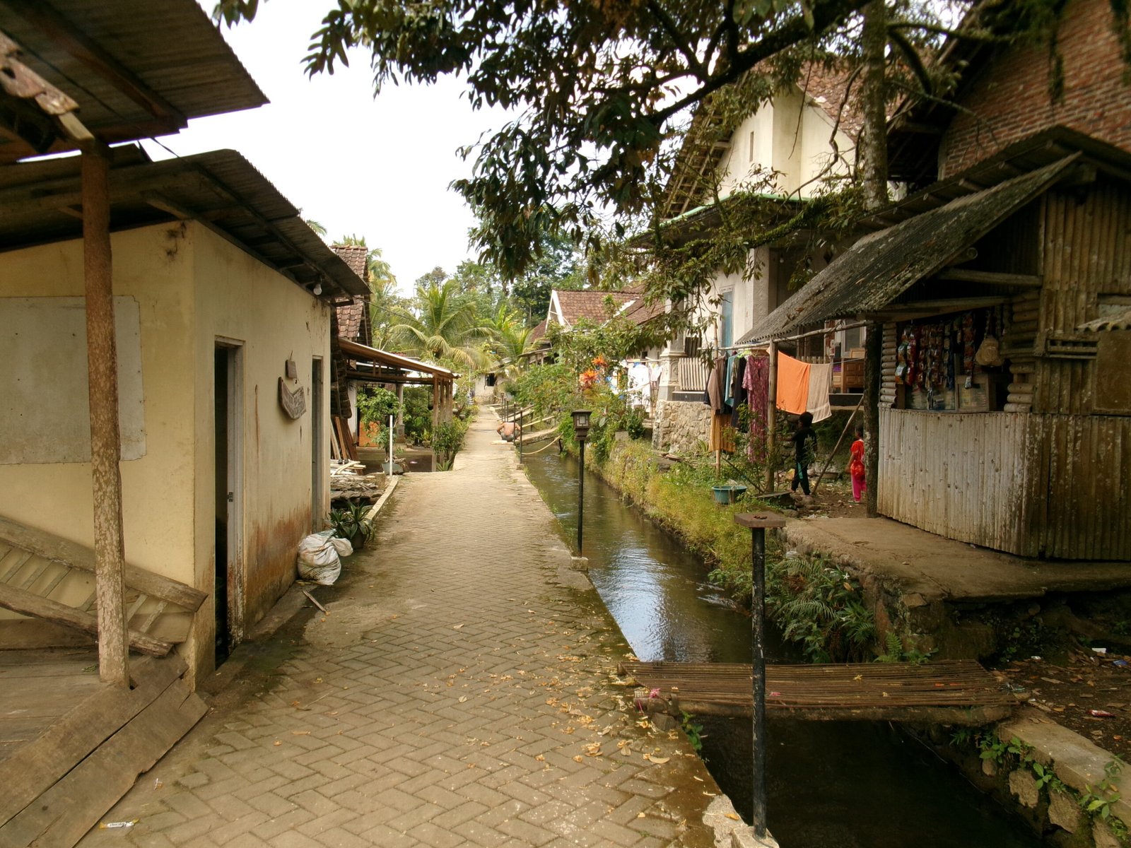 lokasi sekitar kampung ikan