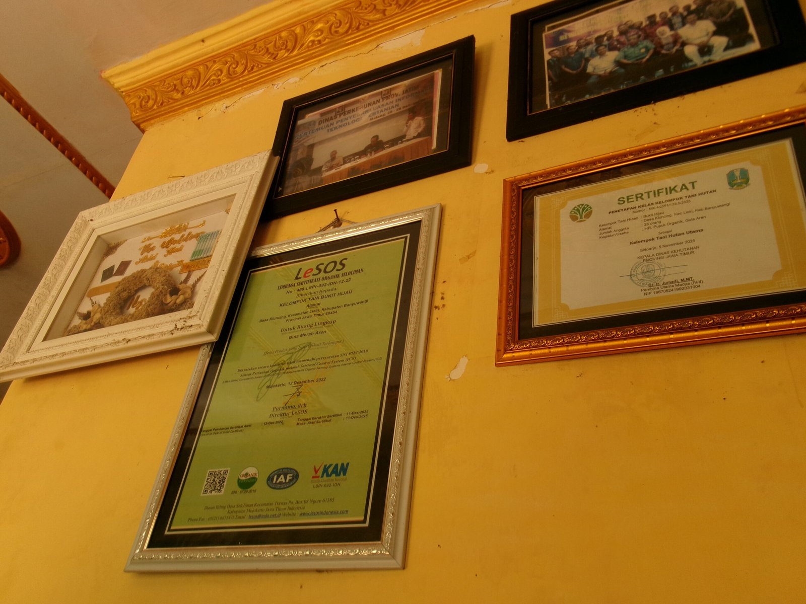 hasil piagam dan sertifikat